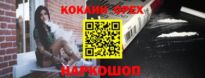 шишки Кандалакша