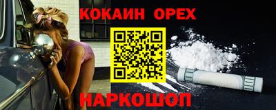 шишки Кандалакша