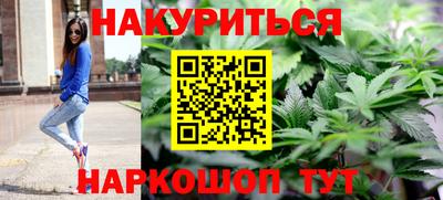 шишки Кандалакша