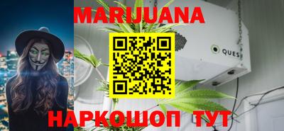 шишки Кандалакша