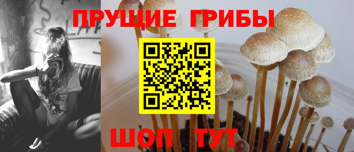 Ейск  Псилоцибиновые грибы Magic Shrooms  Вход с VPN 